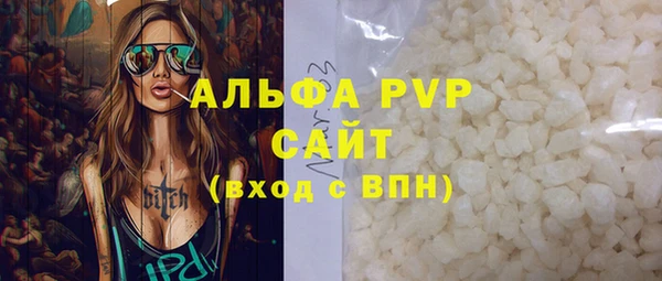 индика Бабаево