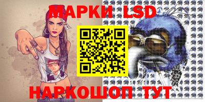 гашик Будённовск