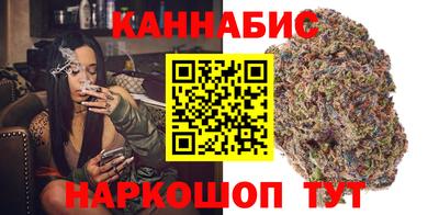 не бодяженный Гай