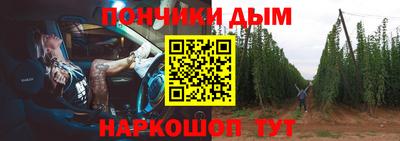 стаф Гатчина