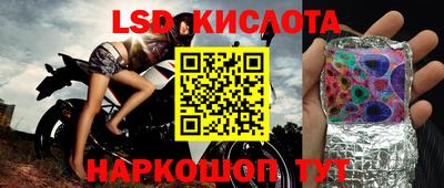 стаф Гатчина