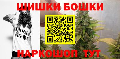 гашик Будённовск