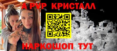стаф Гатчина