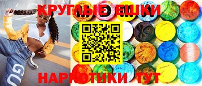 стаф Гатчина