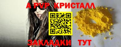 стаф Гатчина