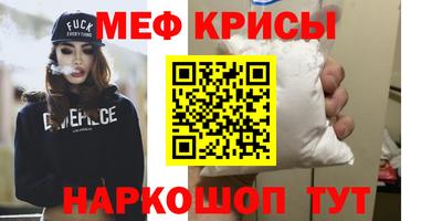 стаф Гатчина