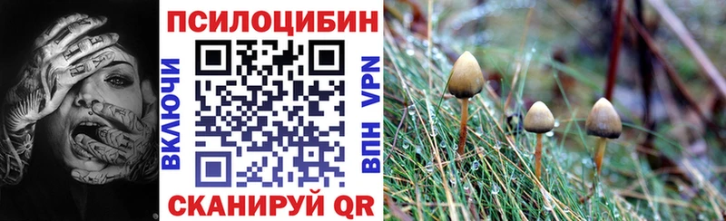 наркошоп  дарк нет какой сайт  Галлюциногенные грибы мухоморы  Ессентуки 