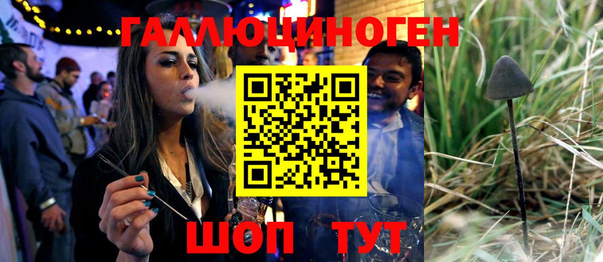 Псилоцибиновые грибы GOLDEN TEACHER  Вход с VPN  Ессентуки 