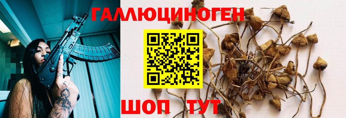 Галлюциногенные грибы мицелий Ессентуки